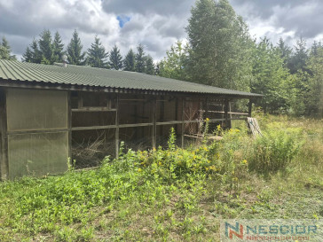 Plot Sale Kałuszyn