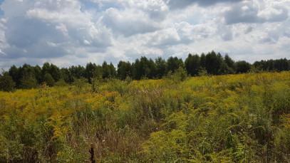 Działka Sprzedaż Kownaciska