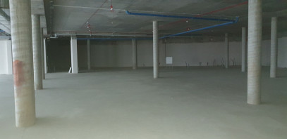 Commercial space Rent Siedlce 3 Maja