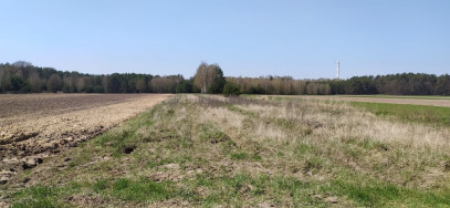 Plot Sale Gołąbek