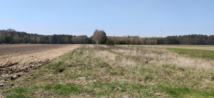 Plot Sale Gołąbek 1