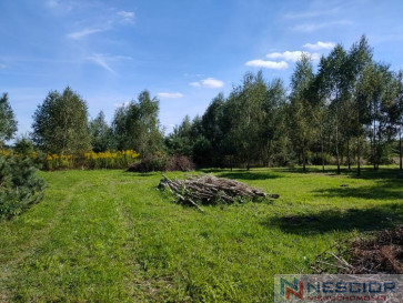 Участок Продажа Teodorów