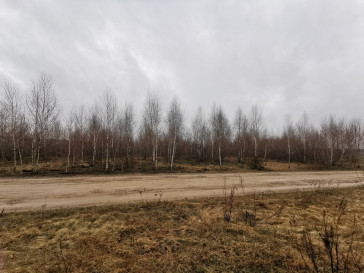 Plot Sale Gręzówka-Kolonia