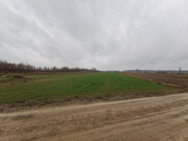 Plot Sale Gręzówka-Kolonia 2