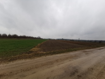 Plot Sale Gręzówka-Kolonia