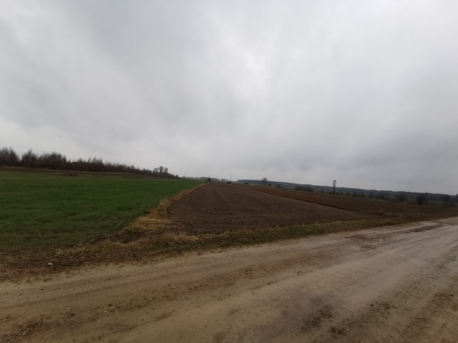 Plot Sale Gręzówka-Kolonia 7