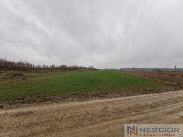 Działka Sprzedaż Gręzówka-Kolonia 1