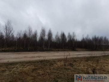Участок Продажа Gręzówka-Kolonia