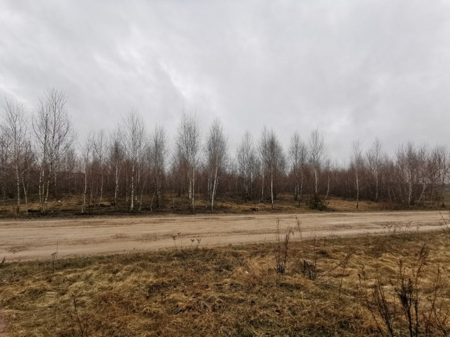 Plot Sale Gręzówka-Kolonia 4