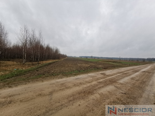 Działka Sprzedaż Gręzówka-Kolonia 5