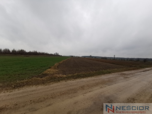 Działka Sprzedaż Gręzówka-Kolonia 6