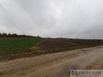 Участок Продажа Gręzówka-Kolonia