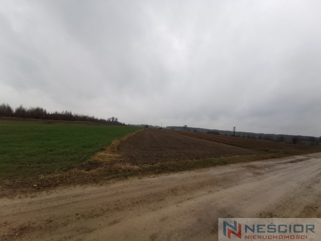 Działka Sprzedaż Gręzówka-Kolonia 7