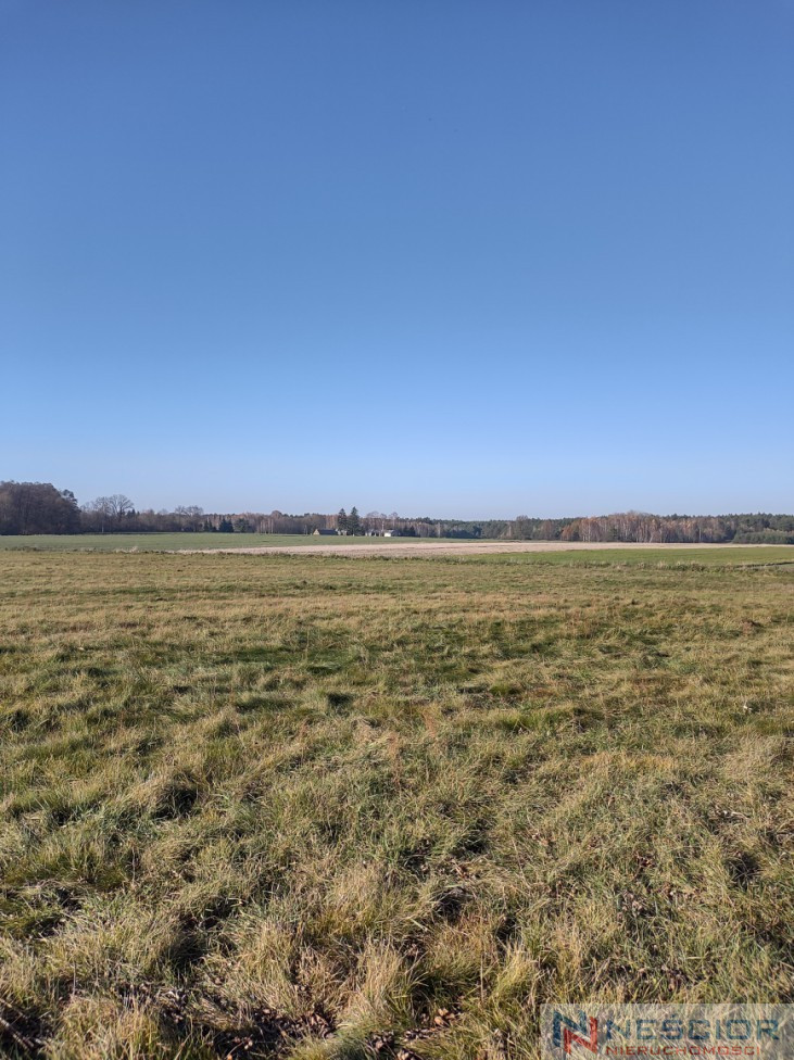 Plot Sale Rogóziec
