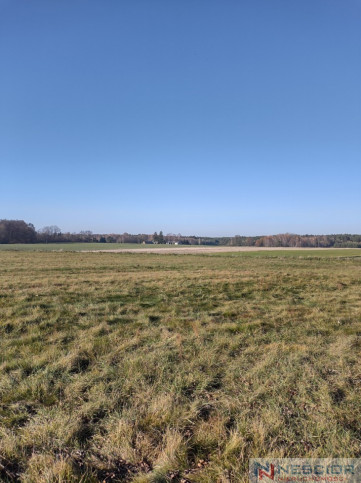 Działka Sprzedaż Rogóziec 1