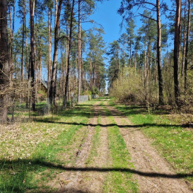 Działka Sprzedaż Nowe Mierzwice