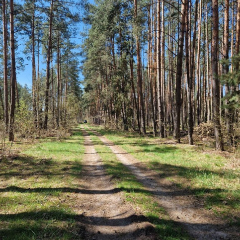 Działka Sprzedaż Nowe Mierzwice 3