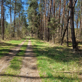 Działka Sprzedaż Nowe Mierzwice