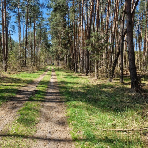 Działka Sprzedaż Nowe Mierzwice 1