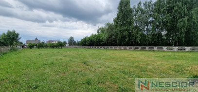 Plot Sale Gręzów