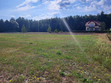 Plot Sale Zbuczyn Jasna