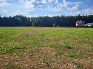 Plot Sale Zbuczyn Jasna