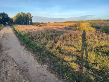 Plot Sale Teodorów Gajowa