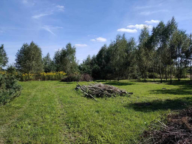 Plot Sale Teodorów 1