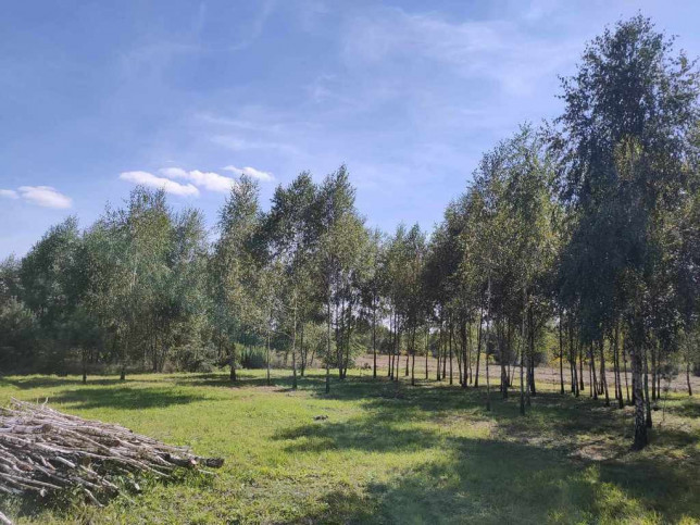 Plot Sale Teodorów 2