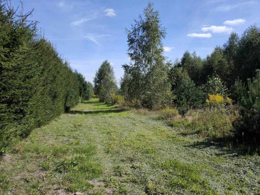 Plot Sale Teodorów