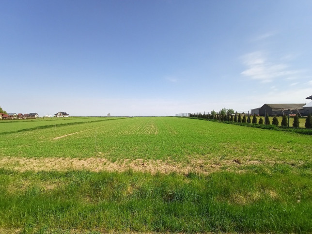 Działka Sprzedaż Wiśniew Batalionów Chłopskich 1