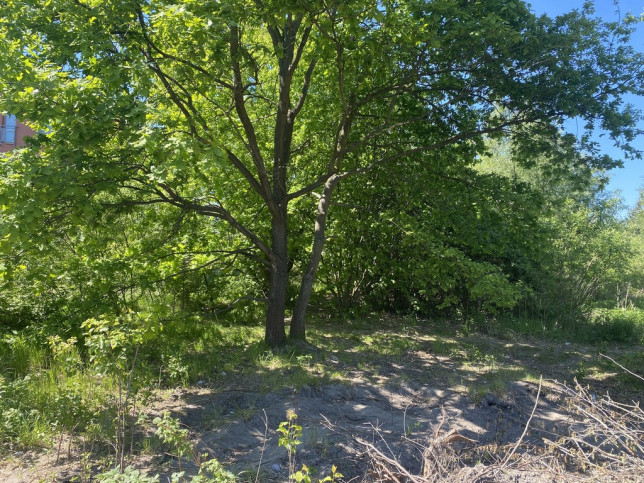 Działka Sprzedaż Siedlce Spokojna 4