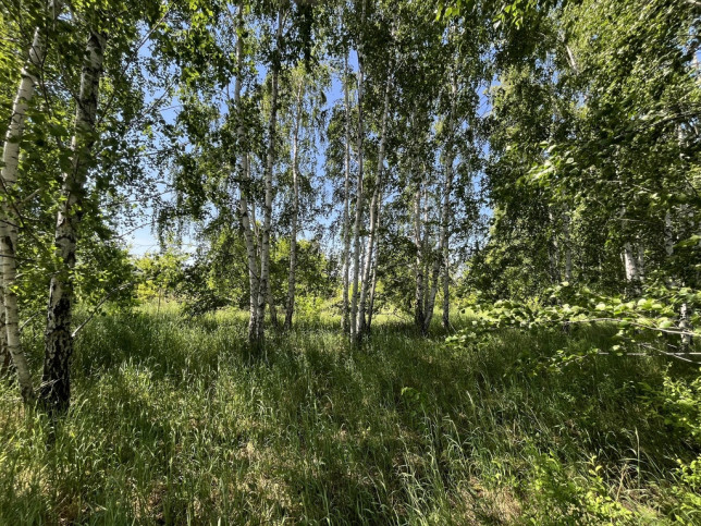 Działka Sprzedaż Nowe Opole Spacerowa 5