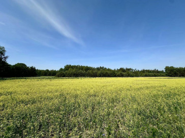 Działka Sprzedaż Dąbrówka-Wyłazy