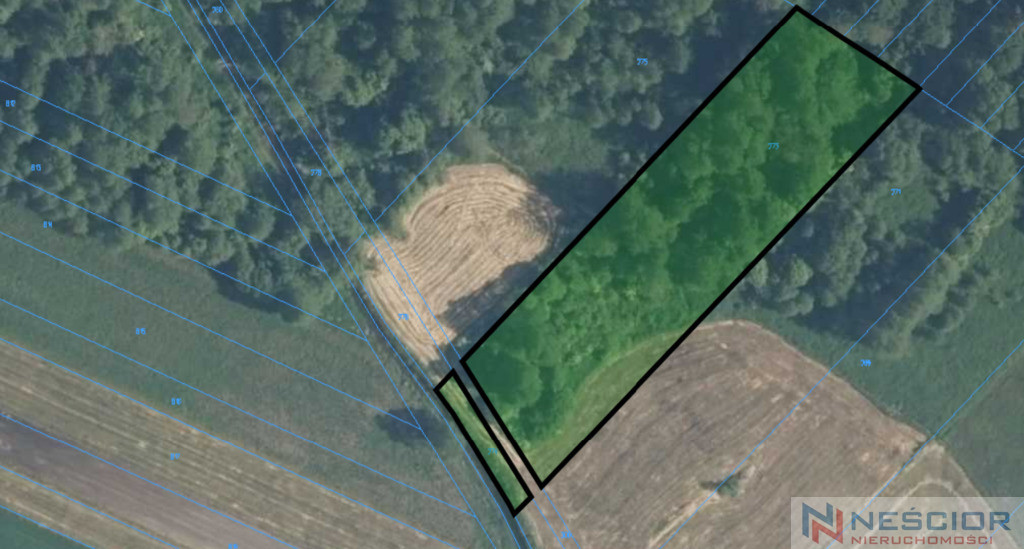 Plot Sale Jeleniec