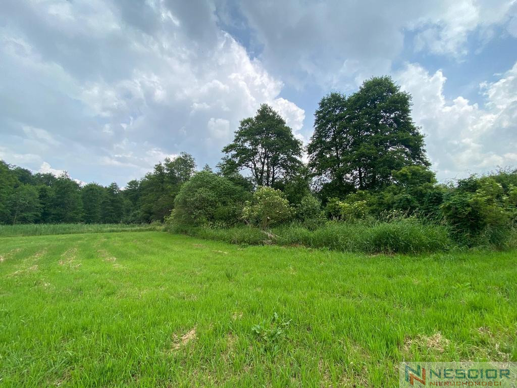 Plot Sale Jeleniec