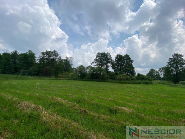 Plot Sale Jeleniec