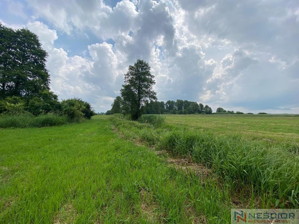 Plot Sale Jeleniec