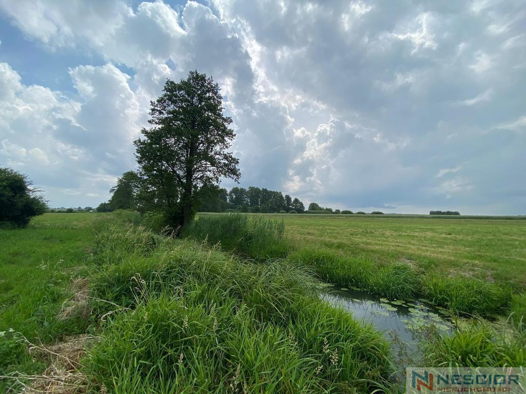 Plot Sale Jeleniec