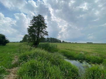 Działka Sprzedaż Jeleniec