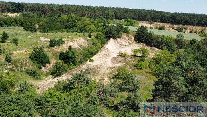 Plot Sale Gręzów Żwirowa 1