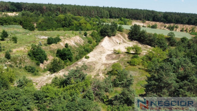 Plot Sale Gręzów Żwirowa