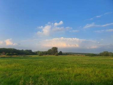 Działka Sprzedaż Siedlce Piaski Zamiejskie