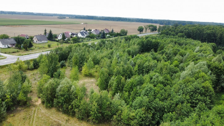 Plot Sale Stary Krzesk 2